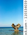 Heart rock in Okinawa 110334039