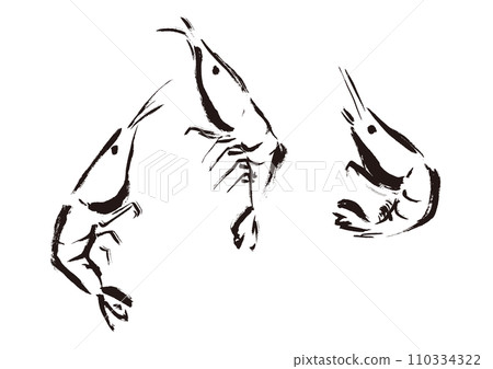 Japanese-style hand-drawn illustration of jumping shrimp, single color, line drawing Japanese-style hand-drawn illustration of jumping shrimp, single color, line drawing 110334322