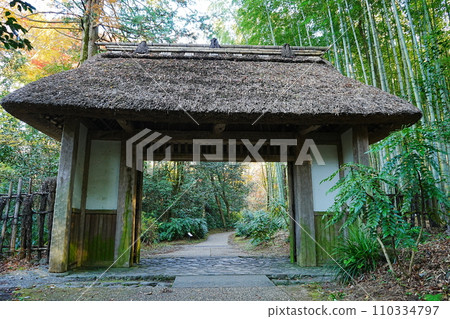 japan park bamboo forest thatched roof gate 110334797