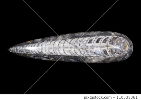 直角類海洋史 110335361