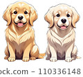 Golden Retriever 110336148