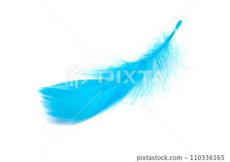 Blue fluffy feather soft isolated on the white studio background 110336165