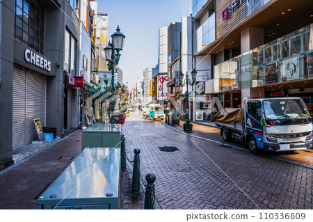 Streetscape of Hamamatsu City's entertainment district (Shizuoka Prefecture) 110336809