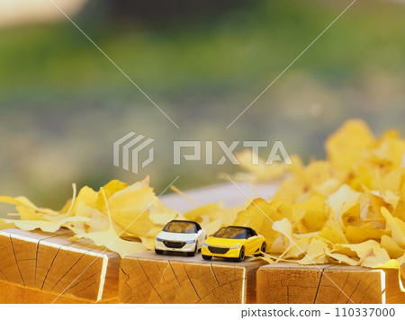 微型汽車Ginkgo和S660的風景 110337000