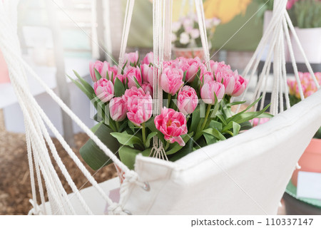 Bouquet of beautiful pink tulips in white hammock. Mother's and International Women's Day, Valentine's day, concept. Gift for Birthday celebration. Bright sun rays. Greeting card. Copy space for text Bouquet of beautiful pink tulips in white hammock. Mother's and International Women's Day, Valentine's day, concept. Gift for Birthday celebration. Bright sun rays. Greeting card. Copy space for text 110337147