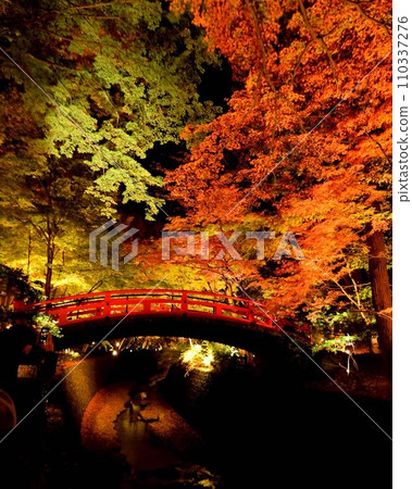 史蹟 小土居紅葉橋(北野白梅町) 史蹟 小土居紅葉橋(北野白梅町) 110337276