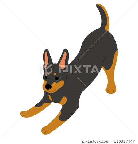 A simple and cute illustration of a Doberman that invites you to play. No main line. 110337447
