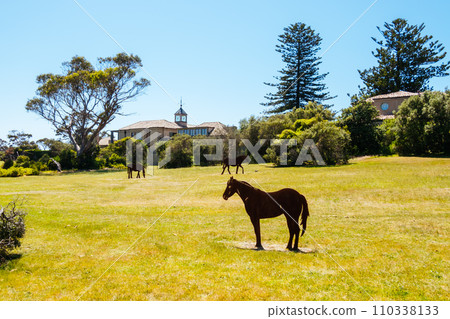 Police Point Shire Park in Australia Police Point Shire Park in Australia 110338133