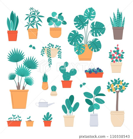 Home plants. Indoor potted flowers, interior live decorations, ficuses, cacti and succulents, room greenhouse, exotic palms, lemon tree and monstera, cartoon flat isolated vector set Home plants. Indoor potted flowers, interior live decorations, ficuses, cacti and succulents, room greenhouse, exotic palms, lemon tree and monstera, cartoon flat isolated vector set 110338543