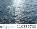 Sea illuminated by the sun 110339703