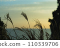 Susukino silhouette 110339706