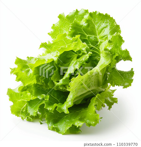 Fresh lettuce image white background 110339770