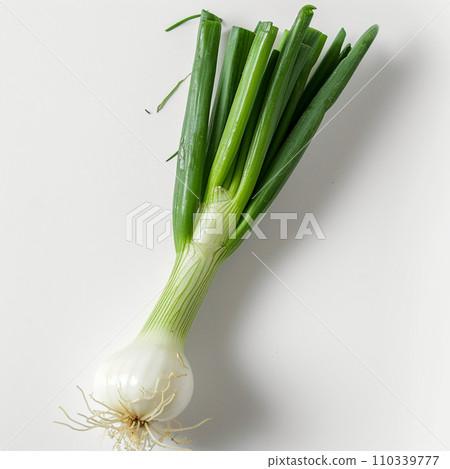蔥新鮮圖像白色背景 110339777