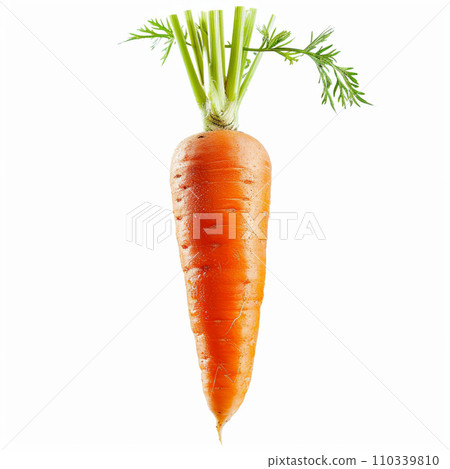 carrot fresh image white background carrot fresh image white background 110339810