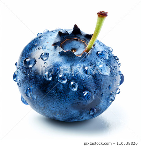 Blueberry fresh image white background 110339826