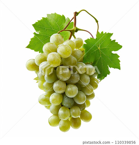Muscat fresh image white background Muscat fresh image white background 110339856