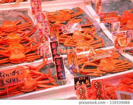 螃蟹批發市場/日本海魚城/福井縣敦賀市 110339866
