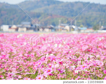宮下宇宙花園/福井縣福井市江上町4 宮下宇宙花園/福井縣福井市江上町4 110339884