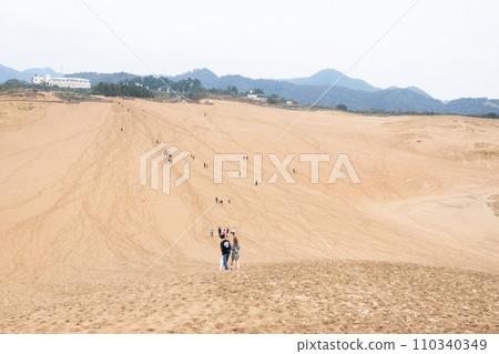 日本鳥取縣“鳥取沙丘” 110340349