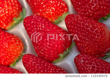 Packing of strawberries Packing of strawberries 110340478