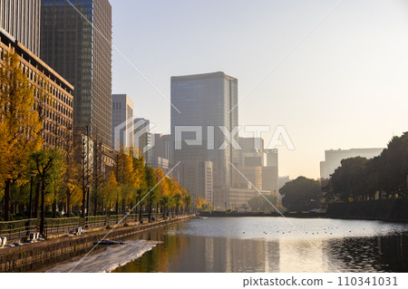 Midtown Hibiya (lined with ginkgo trees) seen from the Imperial Gardens Midtown Hibiya (lined with ginkgo trees) seen from the Imperial Gardens 110341031