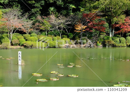 Sea hell⑥ 110341209