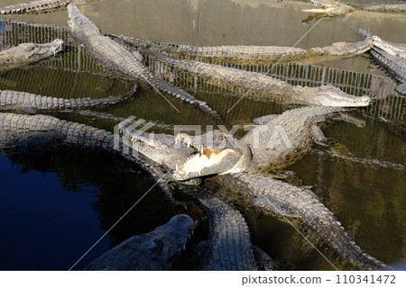 Oniyama Hell ③ 110341472