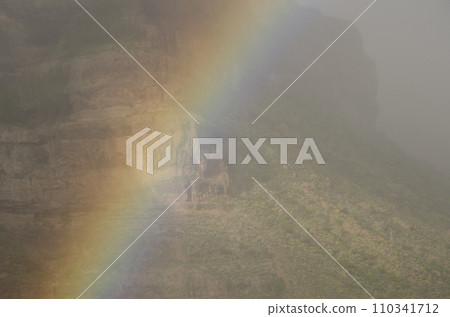 Rainbow and Tirajana cliffs in the fog. 110341712