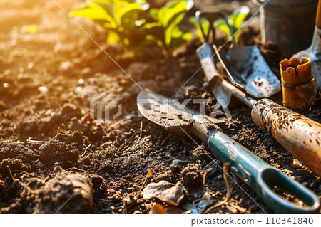 Sunlit garden with gardening tools, plants and flowers Sunlit garden with gardening tools, plants and flowers 110341840
