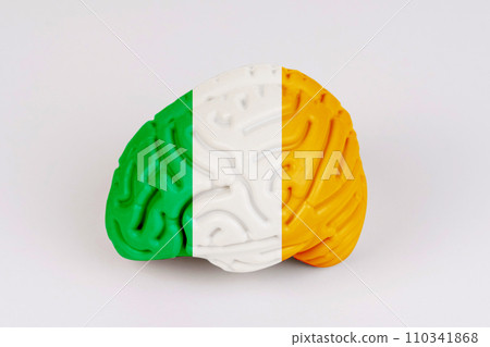 On a white background, a model of the brain with a picture of a flag - Ireland On a white background, a model of the brain with a picture of a flag - Ireland 110341868