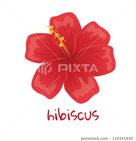 Hibiscus illustration. Vibrant red tropical flower. Realistic botanical hand drawn painting isolated on white background. Cartoon design for poster, icon, card, logo, label, banner, sticker. 110341930