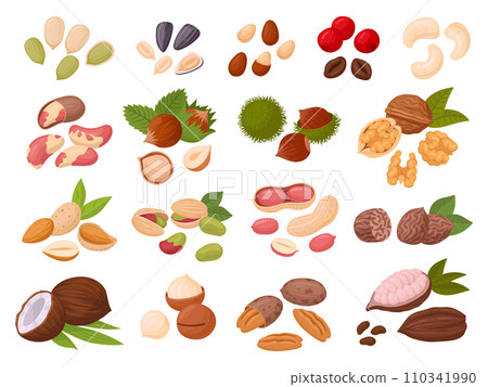 Nuts and seeds. Cartoon cashew, coconut, peanut, almond, walnut, hazelnut and pistachio nuts, cocoa and coffee beans, organic snack food flat vector illustration set. Tasty seed and nuts collection 110341990