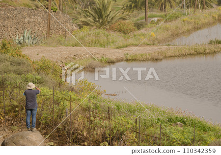 Birdwatcher by a lagoon. 110342359