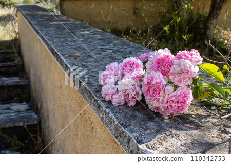 Wild roses creating a bouquet 110342753