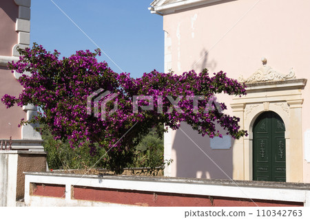 Bougenvillea infront of a church at the north of Corfu, Greece Bougenvillea infront of a church at the north of Corfu, Greece 110342763