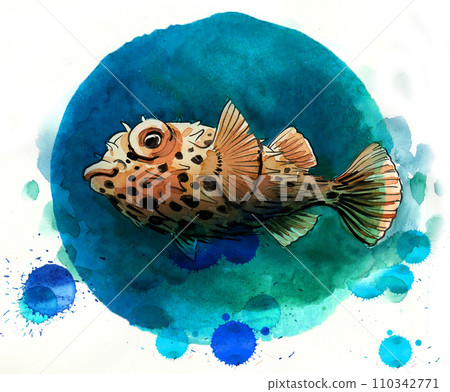 fish, vector, aquatic 110342771