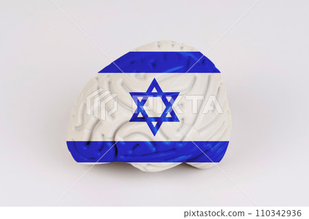 On a white background, a model of the brain with a picture of a flag - Israel 110342936