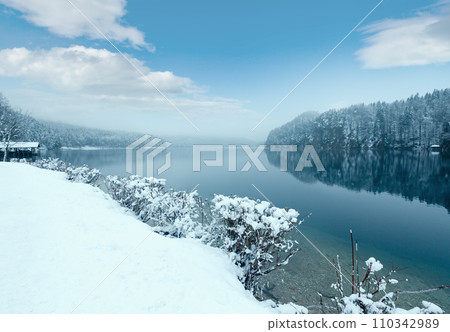 Winter Alpsee lake 110342989