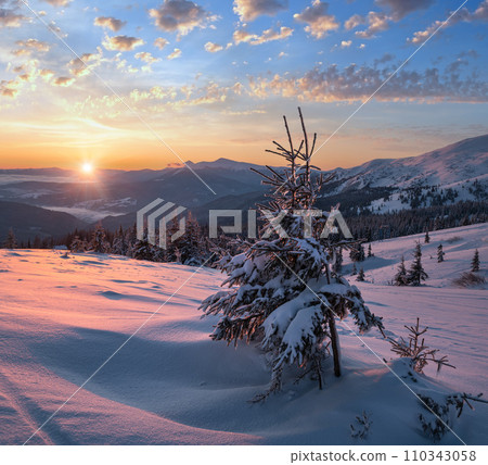 Picturesque winter alps sunrise. Highest ridge of the Ukrainian Carpathians is Chornohora with peaks of Hoverla and Petros mountains. View from Svydovets ridge and Dragobrat ski resort. 110343058