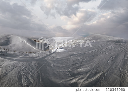 Snow covered fir trees on snowy mountain plateau, tops with snow cornices in far. Magnificent sunny day on picturesque beautiful alps ridge. Snow covered fir trees on snowy mountain plateau, tops with snow cornices in far. Magnificent sunny day on picturesque beautiful alps ridge. 110343060