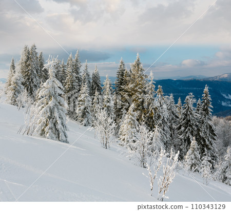 Winter mountain snowy landscape Winter mountain snowy landscape 110343129