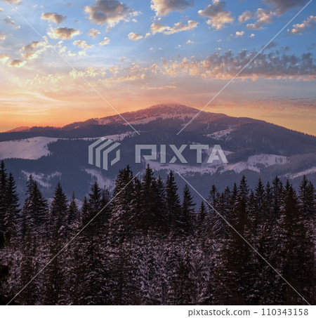 Winter sunset alpine top  view from mountain village and fir forest in front. Picturesque seasonal, nature and countryside beauty concept scene. 110343158