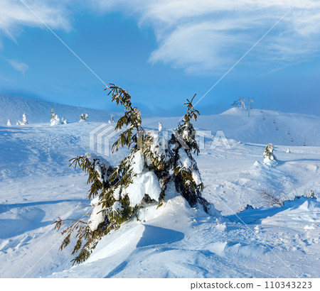 Icy snowy fir trees on winter hill. Icy snowy fir trees on winter hill. 110343223