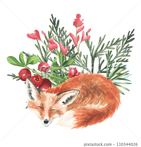 Watercolor hand drawn autumn forest illustrations isolated on white. Sleeping little fox with red berries and leaves green animal composition. 110344026