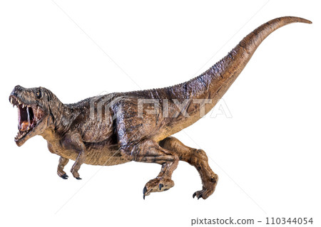 Trex Tyrannosaurus dinosaur on isolated background Trex Tyrannosaurus dinosaur on isolated background 110344054