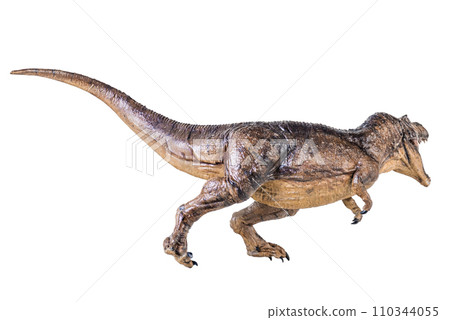 Trex Tyrannosaurus dinosaur on isolated background 110344055