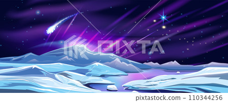 Landscape with Northern lights Landscape with Northern lights 110344256