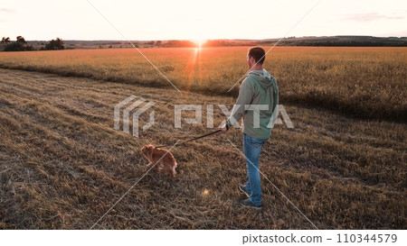 Owner lets trained cocker spaniel dog to free-roam in dry field lit by back sunset light man active small red dog in country park man with cute dedicated dog in wild park on vacation slow motion 110344579