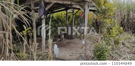 The unkempt mystical graves of Muslims look scary The unkempt mystical graves of Muslims look scary 110344849