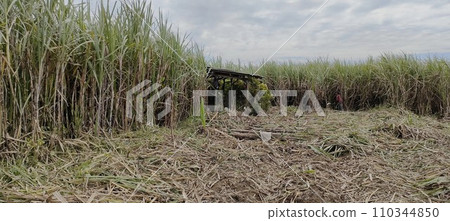 The unkempt mystical graves of Muslims look scary 110344850